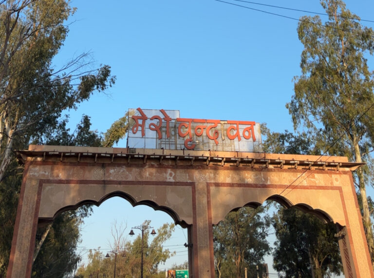 Discover Vrindavan: Temples, Stays & Travel from Chandigarh
