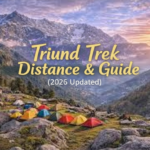 Triund Trek