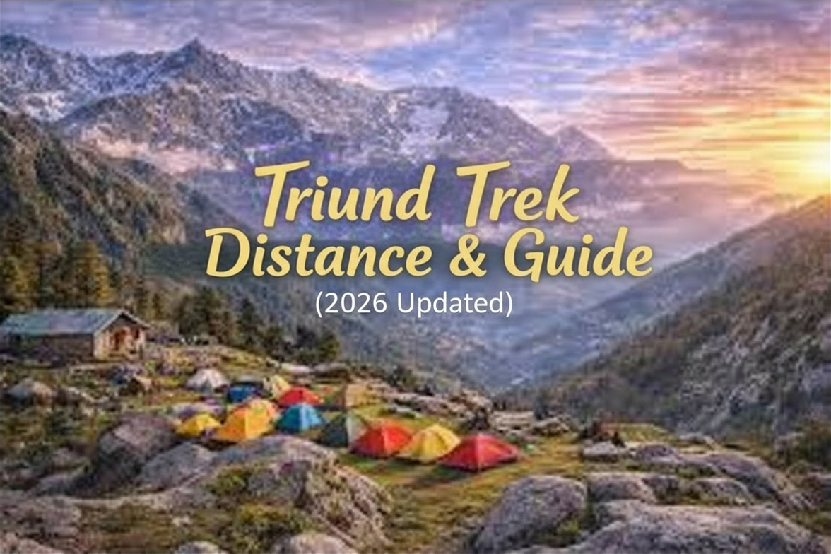 Triund Trek